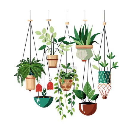 Plante d'intérieur en pot vectoriel illustration concept