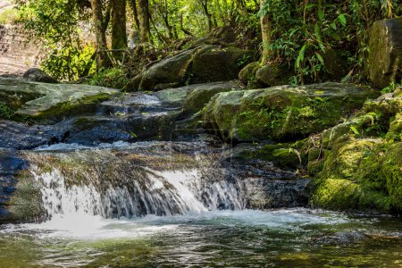Photo for River and small waterfall inside the vegetation of preserved rainforest of Itatiaia park in Rio de Janeiro - Royalty Free Image