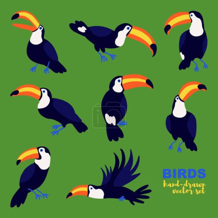 Hand-drawn vector set of toucans in a flat style. Toucan birds in different poses.
