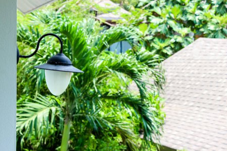 Ruhigen tropischen Garten mit viel Grün und Lampe schafft ruhige Atmosphäre, ideal für Entspannung und Rückzug