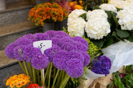 Téléchargez les photos : Belles fleurs colorées Allium Giganteum dans la boutique de fleurs. Différentes fleurs dans le marché de rue - en image libre de droit