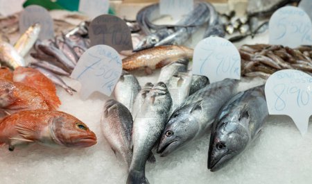 Bunte Auswahl an Fisch auf einem Markt in Spanien. Großaufnahme von Fisch auf einem Fischmarkt