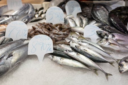Colorida selección de pescado en un mercado en España. Primer plano del pescado expuesto en un mercado de pescado