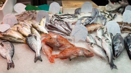 Bunte Auswahl an Fisch auf einem Markt in Spanien. Großaufnahme von Fisch auf einem Fischmarkt
