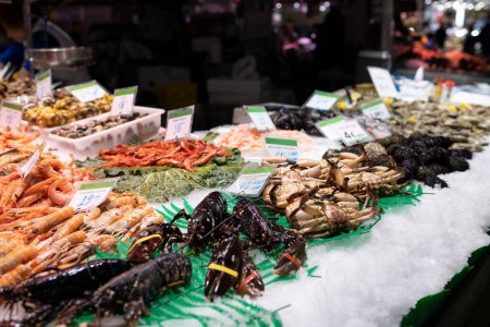Fresh lobster, shrimps, crabs, sea urchin and other seafood on market counter