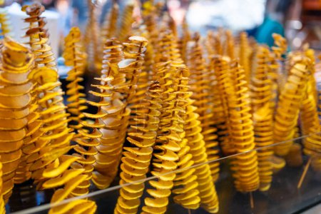 Potatoes cut into a spiral and fried. Tornado potato. A bunch of twisted potatoes. Delicious street food.