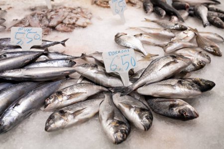 Colorida selección de pescado en un mercado en España. Primer plano del pescado expuesto en un mercado de pescado, concepto alimentario