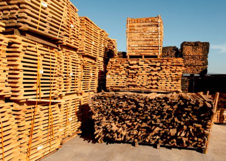 The photo depicts the wood storage yard of a wine barrel factory, where raw materials await transformation into prized barrels through artisanal craftsmanship and advanced machinery