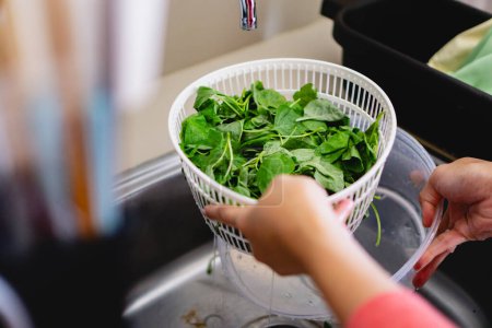 person washing spinach leaves, woman hand, home cooking concept 