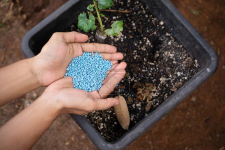 concept of giving an excessively NPK fertilizer to plant, it refer for  type of fertilizer contain chemical symbol of nitrogen, Phosphorus and potassium 