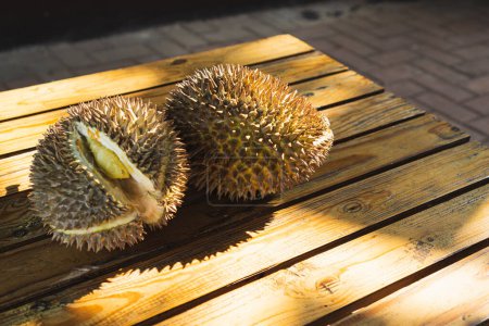 ripe durian fruit, indicated by the spiky skin opening