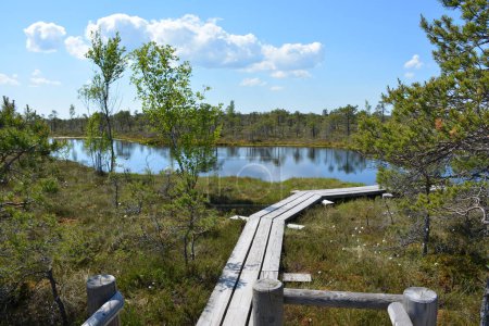 Kemeri National Park in Jurmala, Latvia, is a captivating destination known for its extensive wetlands and enchanting bog landscapes. The park features a network of well-maintained boardwalks that allow visitors to explore its unique ecosystem