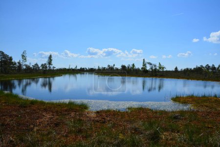 Der Nationalpark Kemeri in Jurmala, Lettland, ist ein faszinierendes Ziel, das für seine ausgedehnten Feuchtgebiete und bezaubernden Moorlandschaften bekannt ist. Der Park verfügt über ein Netz gut gepflegter Uferpromenaden, die es den Besuchern ermöglichen, sein einzigartiges Ökosystem zu erkunden