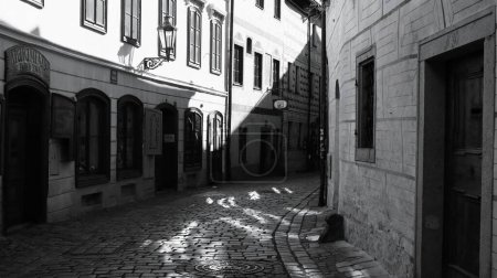 A narrow cobblestone street in an old town, with light and shadows creating a picturesque scene. The historic buildings and charming street capture the essence of a bygone era.