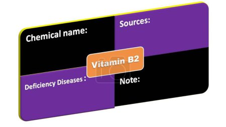 Vitamin B2 - Chemischer Name-Mangelkrankheiten-Quellen-Format. Dies ist das Format für Vitamin B2 Detaillierung.