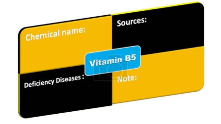 Photo for Vitamin B5 - Chemical name-Deficiency Diseases-Sources format. This is the format for vitamin B5 detailing. - Royalty Free Image