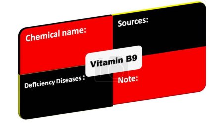 Photo for Vitamin B9 - Chemical name-Deficiency Diseases-Sources format. This is the format for vitamin B9 detailing. - Royalty Free Image