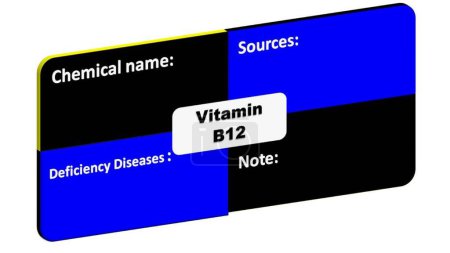 Photo for Vitamin B12 - Chemical name-Deficiency Diseases-Sources format. This is the format for vitamin B12 detailing. - Royalty Free Image