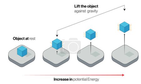 Detailed Vector Illustration of Potential Energy Development in Objects: Physical Processes in White Background