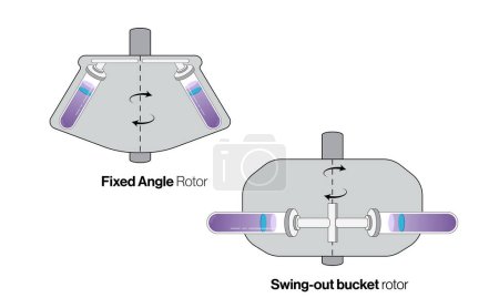 Detailed and Labeled Science Vector Illustration of Two Types of Centrifuge Rotors, Swing Bucket and Fixed Angle Rotor, for Laboratory Equipment and Biomedical Research on White Background