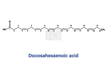Ilustración de Ilustración vectorial detallada de la estructura del ácido docosahexaenoico para bioquímica, biología molecular, educación en ciencias de la salud sobre fondo blanco - Imagen libre de derechos