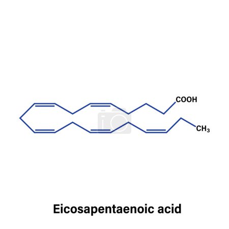 Ilustración vectorial detallada de la estructura química del ácido eicosapentaenoico para la educación en bioquímica, biología molecular y ciencias de la salud en un contexto blanco