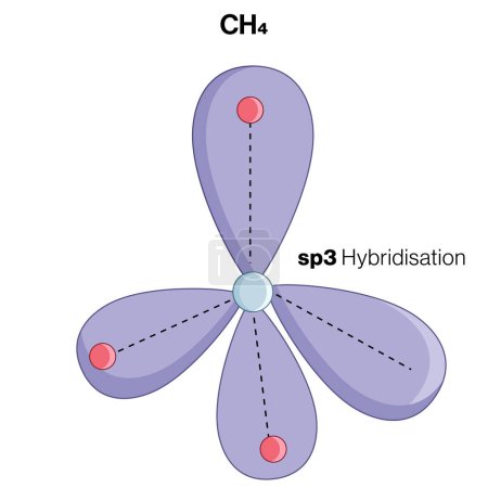 Geometrie der sp3-Hybridisierung: Detaillierte Vektorillustration der molekularen Struktur und Bindung in Biochemie, Molekularbiologie und Gesundheitswissenschaft auf weißem Hintergrund