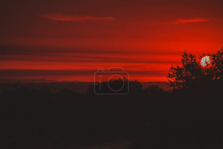 This breathtaking photo captures a red sunset over the horizon in Kruger National Park. The deep red tones and silhouetted trees create a dramatic and serene scene, embodying the beauty of African evenings.