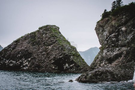 A striking view of rugged sea cliffs in Alaska, covered in lush greenery and dotted with seabirds, set against the backdrop of dramatic mountains, showcasing the raw beauty of nature.