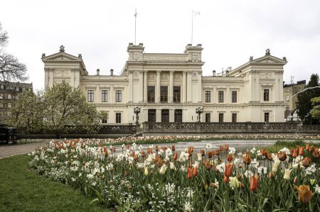 A flowerbed of tulips in front of Lund University main building, Lund, Sweden, May 6, 2024