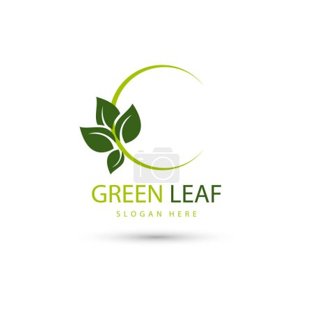 Illustration for Leaves eco green logo design concept template - Royalty Free Image