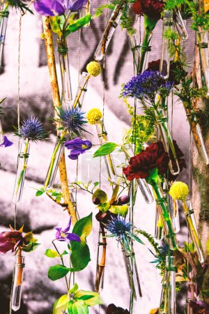 Téléchargez les photos : Fleurs dans des éprouvettes en verre. Composition des fleurs. Fleurs dans des éprouvettes suspendues à une corde - en image libre de droit