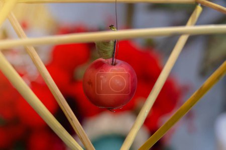 A red apple hangs in a tetrahedron. Decorative decoration