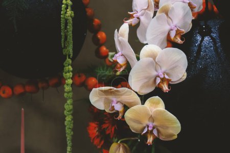 Téléchargez les photos : Fleurs d'orchidée blanche sur un fond sombre - en image libre de droit