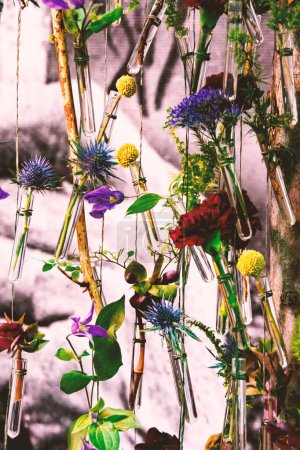 Téléchargez les photos : Fleurs dans des éprouvettes en verre. Composition des fleurs. Fleurs dans des éprouvettes suspendues à une corde - en image libre de droit