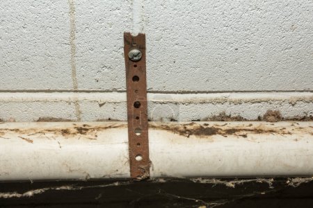 Téléchargez les photos : Marques de frottement des rongeurs trouvées dans un sous-sol lors d'une inspection antiparasitaire - en image libre de droit
