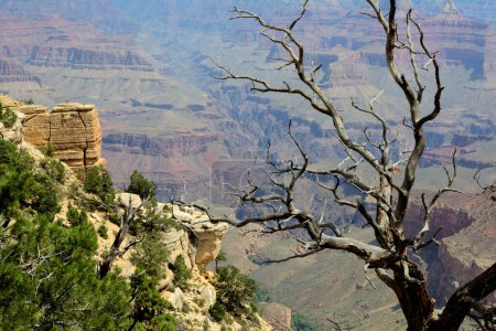 Ehrfurchtgebietende Blicke vom Südrand des Grand Canyon Nationalparks, Arizona, USA. Staunen Sie über die dramatischen Klippen, die weiten Ausblicke und die atemberaubende Schönheit dieses ikonischen Naturwunders