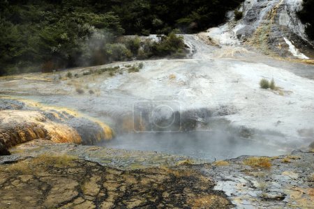 vibrant and otherworldly landscape of Wai-O-Tapu Thermal Wonderland near Rotorua, New Zealand. This geothermal park features colorful hot springs, bubbling mud pools, and steaming vents, creating a unique and captivating natural spectacle
