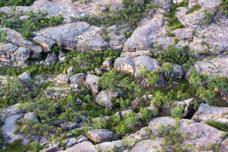 Die zerklüftete Landschaft des Outbacks in der Nähe der Cobbold Gorge in FNQ, Australien, zeichnet sich durch uralte Felsformationen, karge Vegetation und eine riesige, ungezähmte Landschaft aus. Diese abgelegene Gegend bietet einen Einblick in die raue Schönheit und raue Umgebung des australischen Outbacks