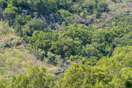 Zerklüftete Outback-Landschaft mit felsigen Aufschlüssen und dichtem Buschland. Perfekt für Reise-, Natur- und Abenteuerprojekte, die Australiens wilde Schönheit hervorheben