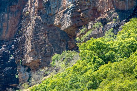 Zerklüftete Outback-Landschaft mit felsigen Aufschlüssen und dichtem Buschland. Perfekt für Reise-, Natur- und Abenteuerprojekte, die Australiens wilde Schönheit hervorheben.