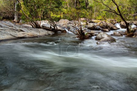 Emerald Creek, Atherton Tablelands, Queensland, Australia