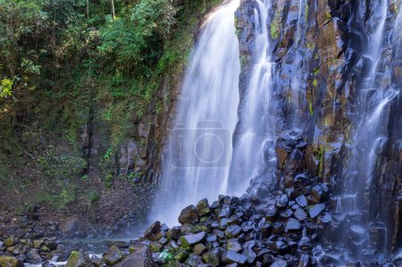 Mungalli Falls in the Atherton Tableland, FNQ, Australia. This scenic waterfall is surrounded by lush rainforest and diverse wildlife, offering a serene and picturesque nature experience
