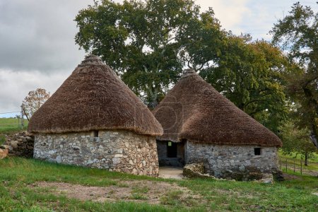 Deux anciennes maisons en pierre avec des toits de chaume en forme de cône se dressent au milieu d'une chênaie, mettant en valeur l'architecture rurale historique par une journée nuageuse