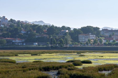 La desembocadura del río Menor formando un estuario en marea baja