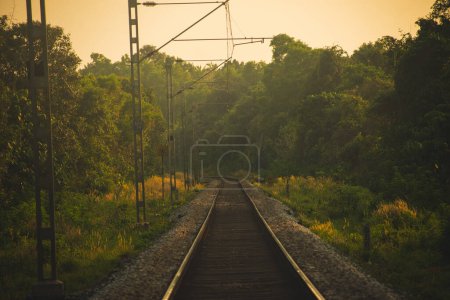 A tranquil view of railway tracks stretching into the distance, framed by lush greenery and bathed in the golden glow of the setting sun, highlighting the serenity of the rural landscape.