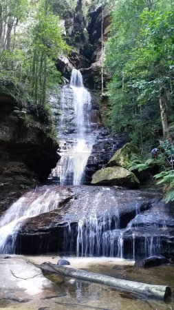 Wentworths Falls in the Blue Mountains, Australia