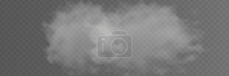 Illustration for Transparent special effect stands out with fog or smoke. White cloud vector - Royalty Free Image
