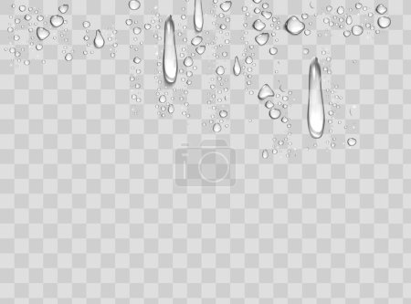 Water rain drops or steam shower isolated on transparent background. Realistic pure droplets condensed.