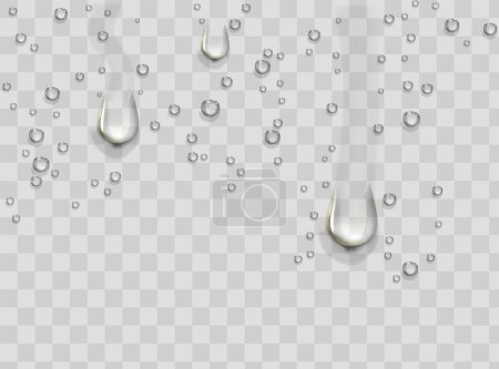 Gotas de lluvia de agua o ducha de vapor aislada sobre fondo transparente. Gotitas puras realistas condensadas
.